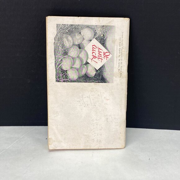 Vintage 1929 Purina Poultry Book Advertising - Picture 2 of 11